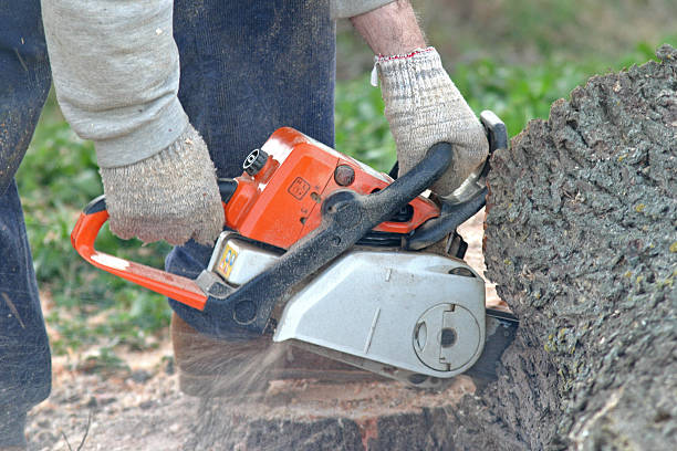  Crestwood, KY Tree Care Pros